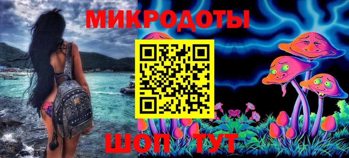 Гатчина  Псилоцибиновые грибы прущие грибы  Вход с VPN 