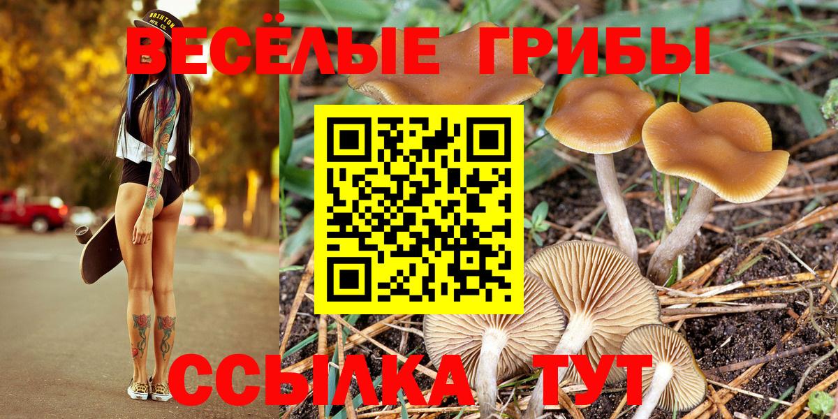 Псилоцибиновые грибы Magic Shrooms Гатчина