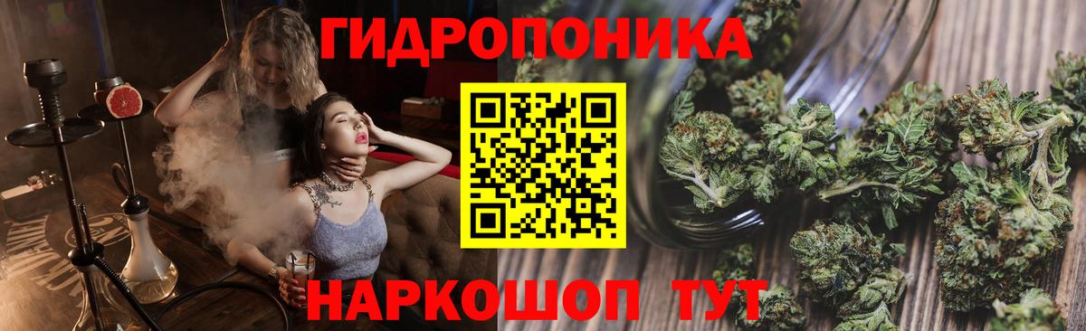 Бошки Шишки гибрид  Вход с VPN  Бошки марихуана марихуана  Гатчина  Канабис конопля 
